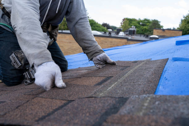 Best Storm Damage Roof Repair  in Weston, WV