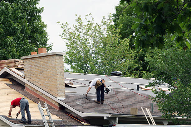 Best Local Roofing Companies  in Weston, WV
