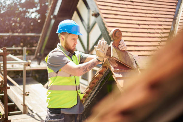 Best Roof Maintenance Services  in Weston, WV