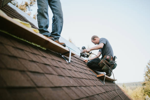 Professional Roofing Contractor in Weston, WV